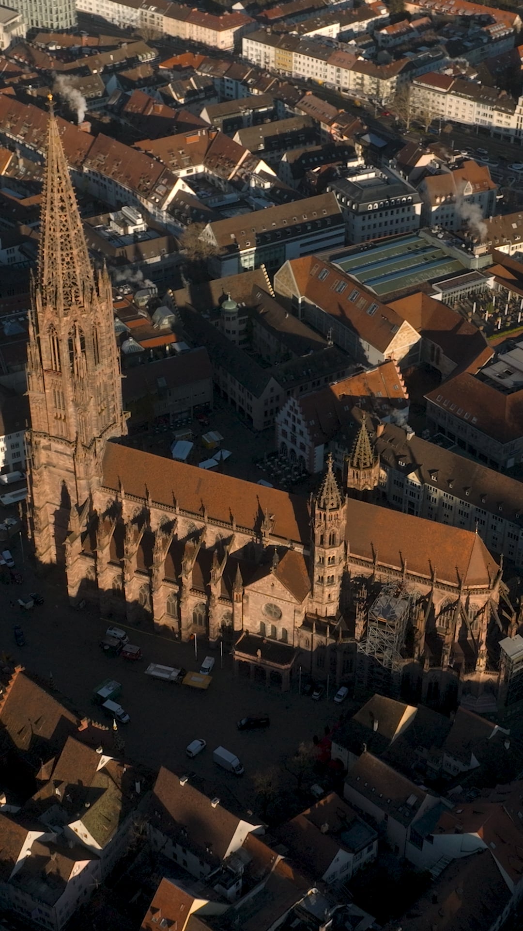 Social-Media-Reel für Amadeus Kura